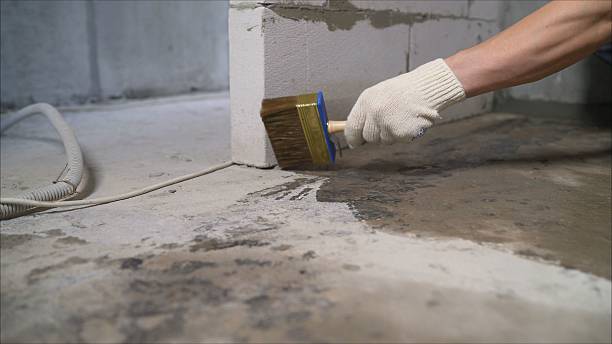 SJ Waterproofing Pros Waterproofing coverage map for Rockford, TN and surrounding area